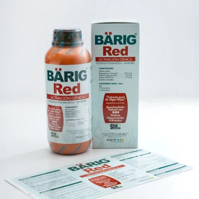 8 - Caja Barig Red